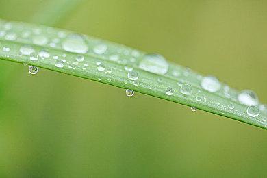 悬疑探案解谜游戏《风筝》Steam页面上线 发售日期待定